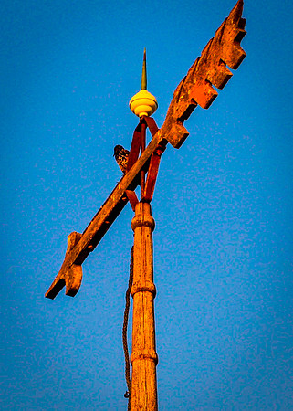 Amana-Colonies-Wind-Vane-AEIO2291