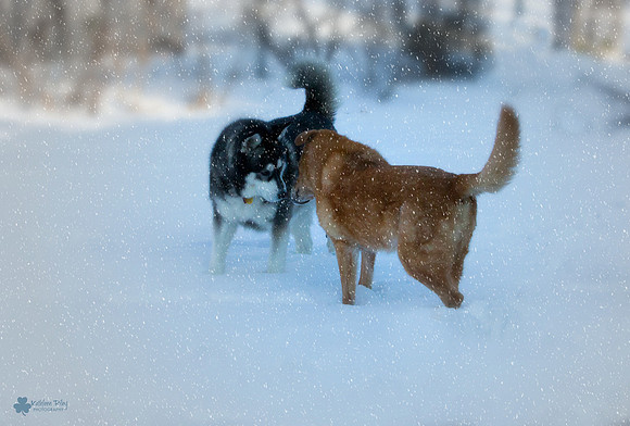 Kathleen-Riley-Senior-Souls-IMG_0162