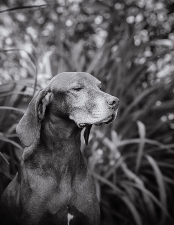 Kathleen-Riley-Senior-Souls--Ruby-IMG_0442