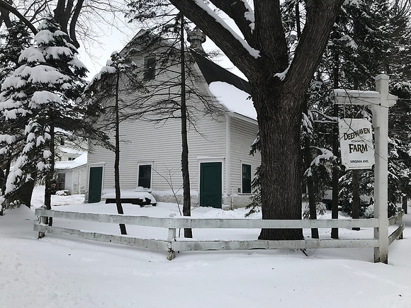 Deephaven-Farm-IMG_1498