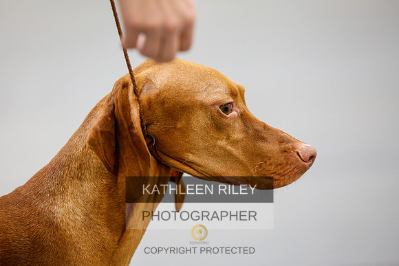 2022-KathleenRileyPhotography-2223