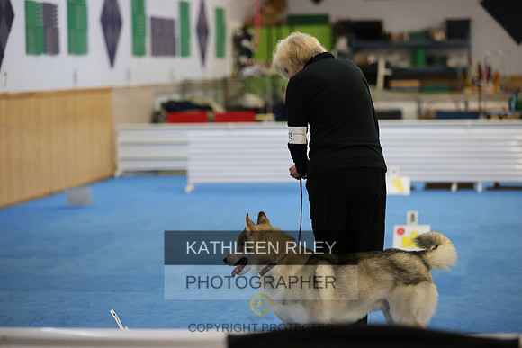SJLT7078