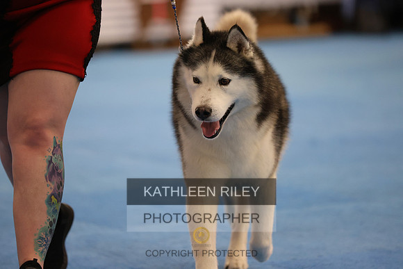 SJLT8773