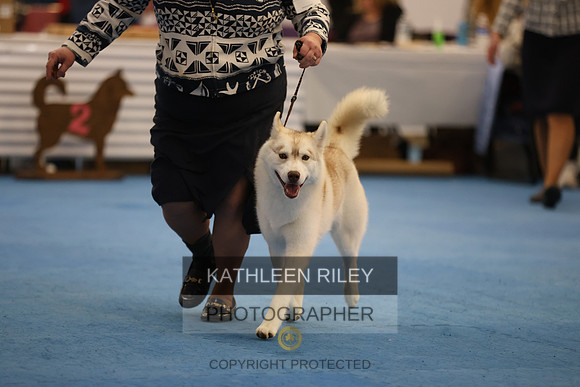 SJLT9120