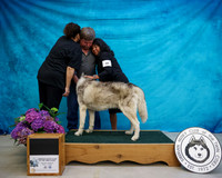 KARD6263