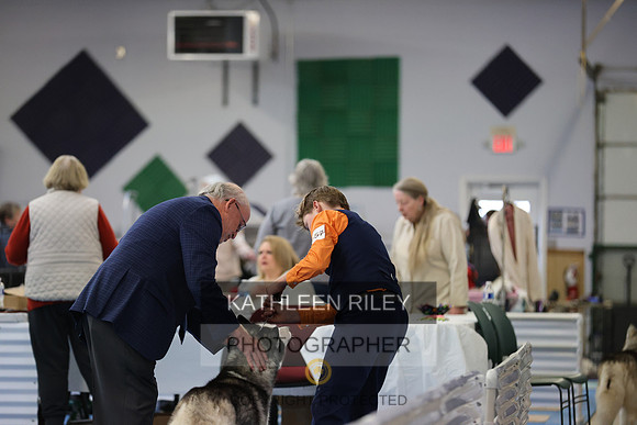 SJLT0517