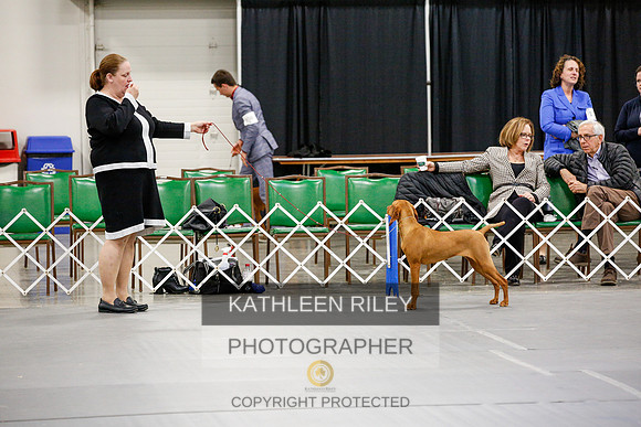 2022-KathleenRileyPhotography-2379