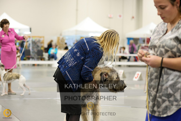 SJLT7902