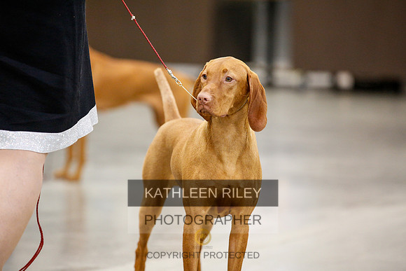 2022-KathleenRileyPhotography-2359
