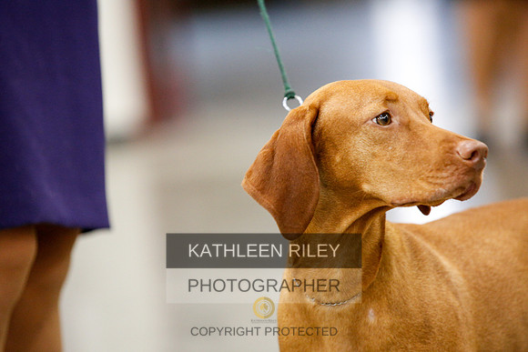 2022-KathleenRileyPhotography-2364