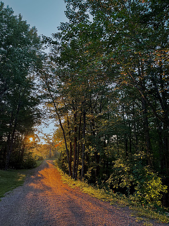 SLT East to Nature 5x7 single mount