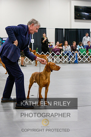 2022-KathleenRileyPhotography-6741