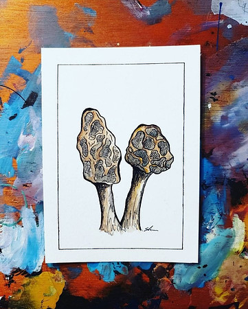 Shannon-Morel Mushroom