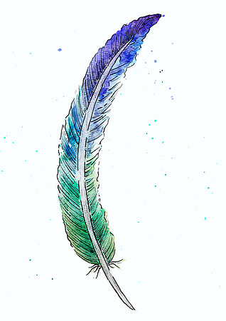 Shannon-Winter Feather