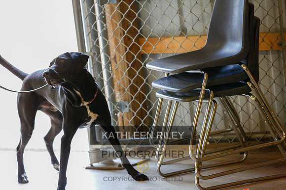 2022-KathleenRileyPhotography-9725