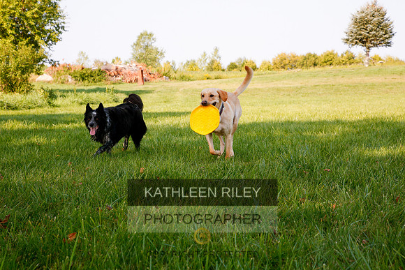 2022-KathleenRileyPhotography-5589
