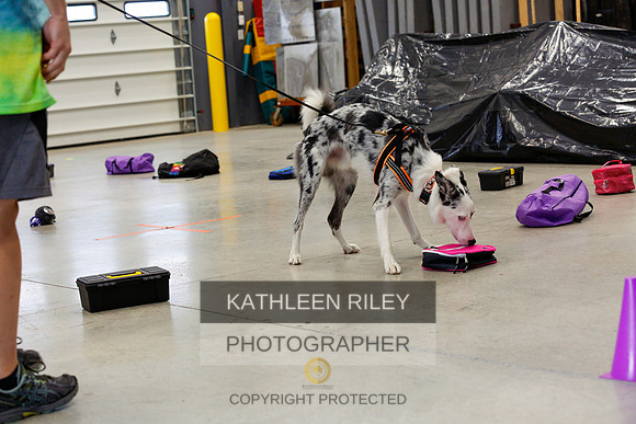 2022-KathleenRileyPhotography-7047