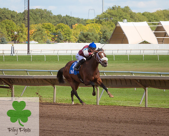 Docs Miss Victory with Alex Canchari in the irons