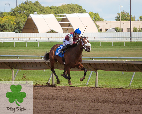 Docs Miss Victory with Alex Canchari in the irons