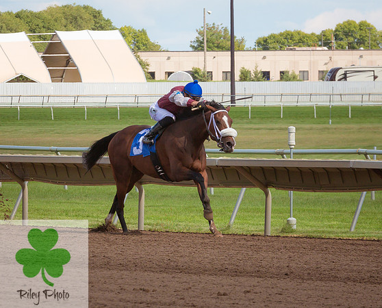 Docs Miss Victory with Alex Canchari in the irons