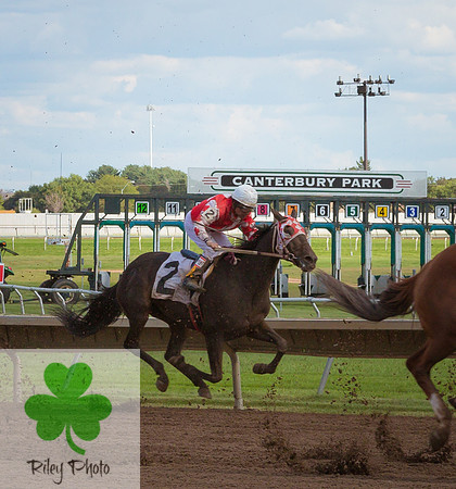 Tahkodha Belle with Wilfredo E Arroyo, Joyce and Tom McFadden