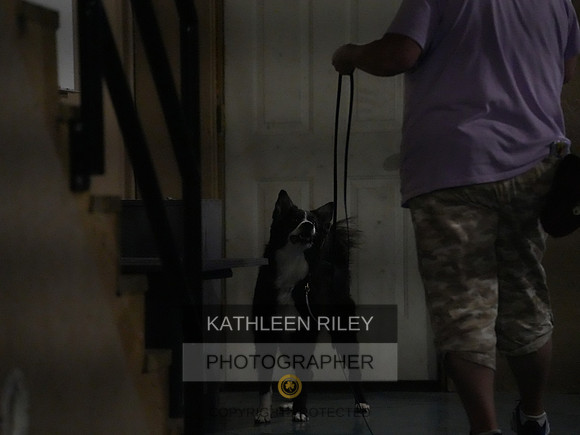 2022-KathleenRileyPhotography101
