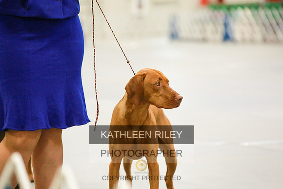 2022-KathleenRileyPhotography-8584