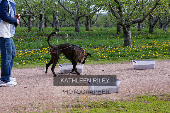 2022-KathleenRileyPhotography-8320