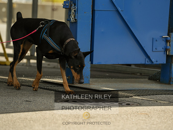 2022-KathleenRileyPhotography-04363
