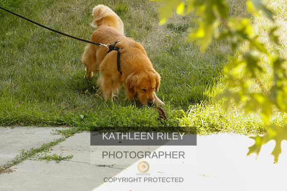 2022-KathleenRileyPhotography-0303