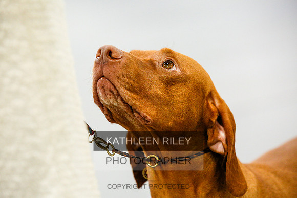 2022-KathleenRileyPhotography-0780