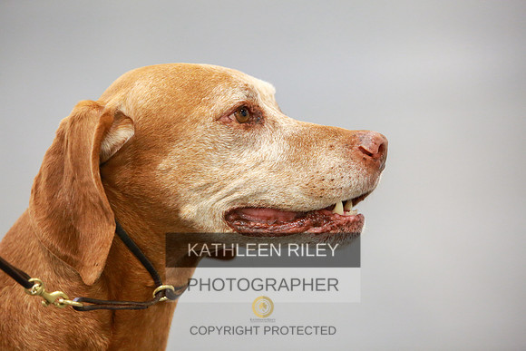 2022-KathleenRileyPhotography-7890
