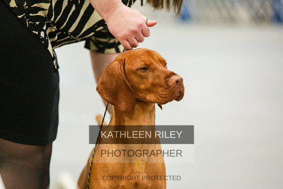 2022-KathleenRileyPhotography-8588