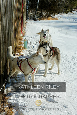 2022-KathleenRileyPhotography-7024
