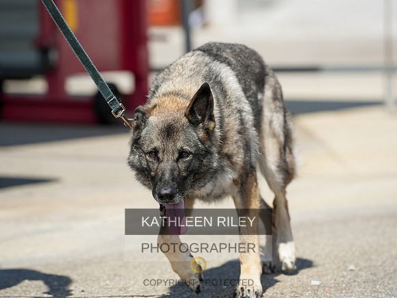 2022-KathleenRileyPhotography-04299