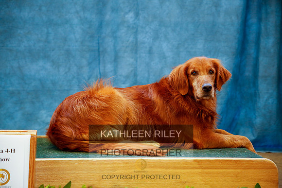 2022-KathleenRileyPhotography-0115