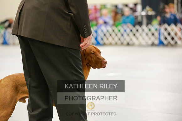 2022-KathleenRileyPhotography-8590
