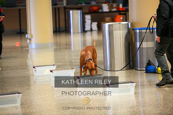 2022-KathleenRileyPhotography-7521