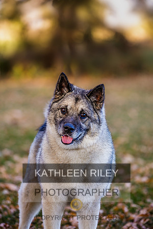 KathleenRiley_MGL1847-20221022