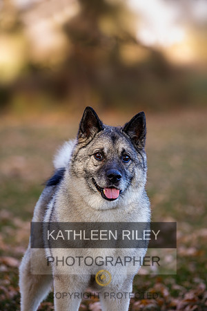 2022-KathleenRileyPhotography_MGL1848-20221022