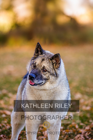 KathleenRiley_MGL1846-20221022