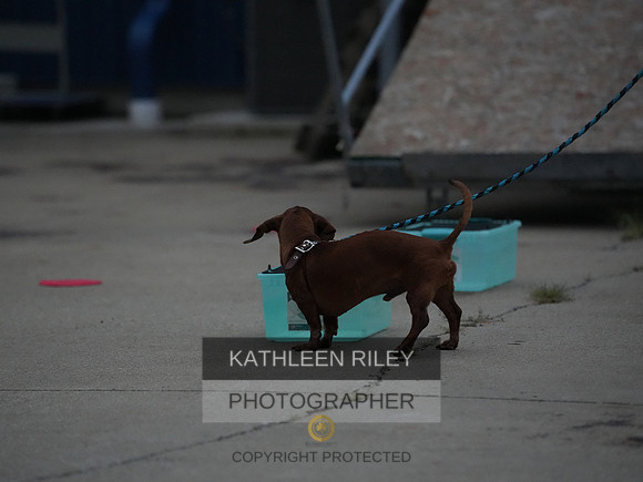 2022-KathleenRileyPhotography118