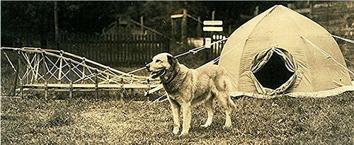 Expedition_Chinook with sled and tent BAE