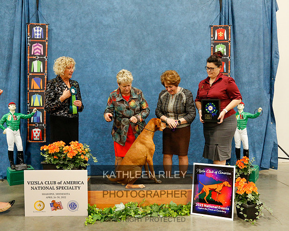 2022-KathleenRileyPhotography-7585