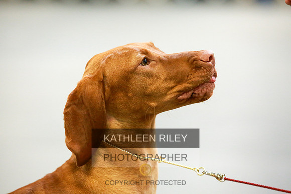 2022-KathleenRileyPhotography-8726