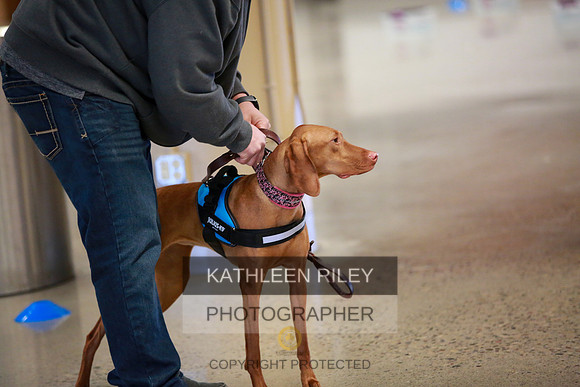 2022-KathleenRileyPhotography-7492