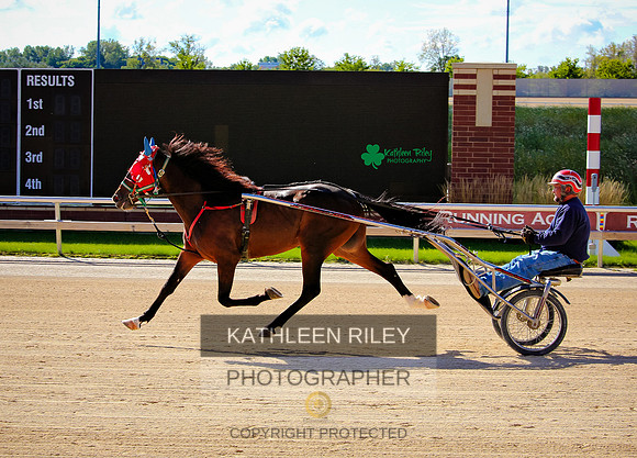 Running Aces Harness Track in Minnesota