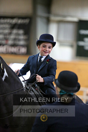 Minnesota Pinto Horse Association
