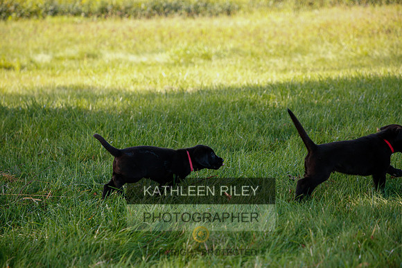 2022-KathleenRileyPhotography-5382