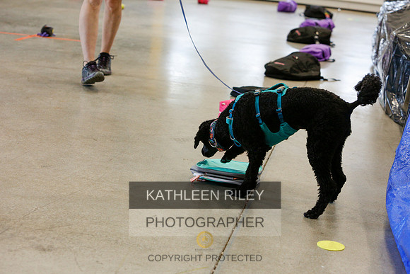 2022-KathleenRileyPhotography-5128